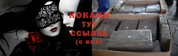 СК Алзамай