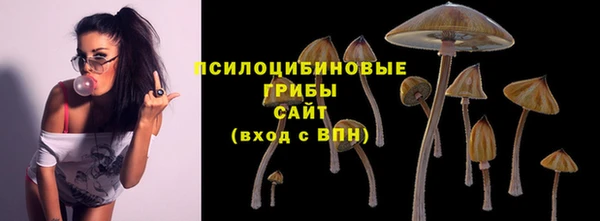 СК Алзамай