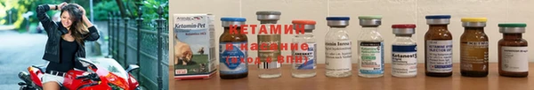 амф Алексин