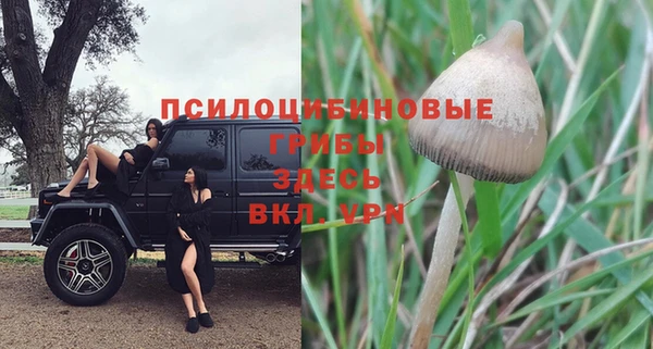кокаин колумбия Козловка